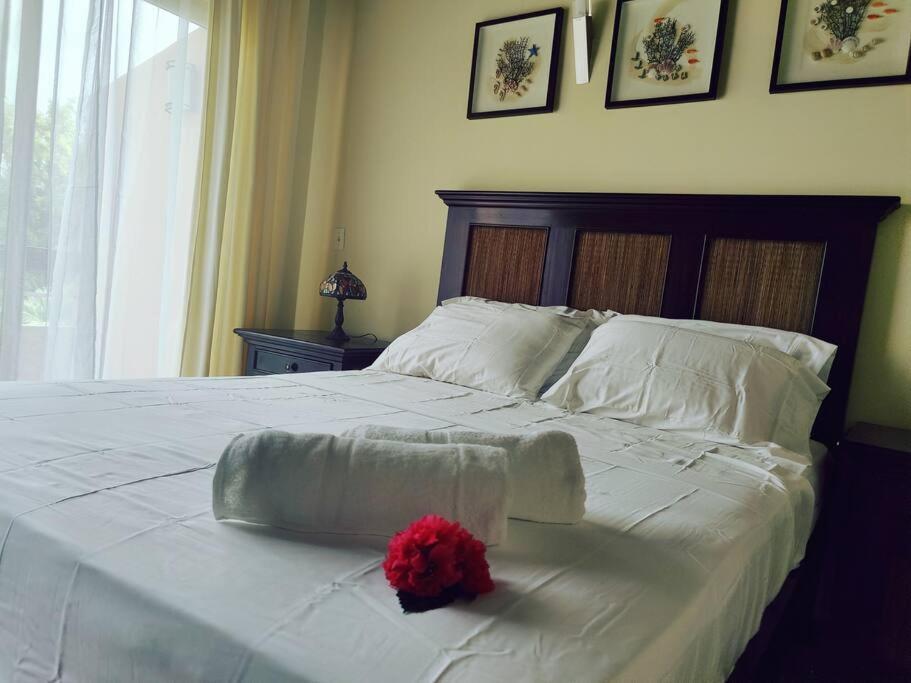 Aruba Family Oasis 2Br Pool 3Min Walk To Eagle Beach Palm Beach Exterior foto