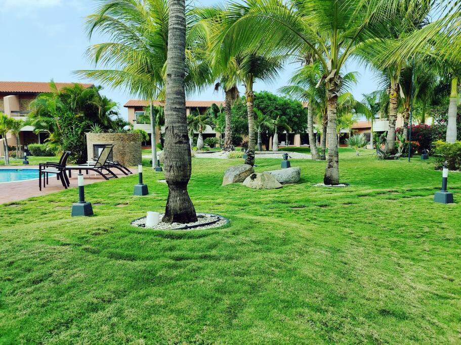 Aruba Family Oasis 2Br Pool 3Min Walk To Eagle Beach Palm Beach Exterior foto