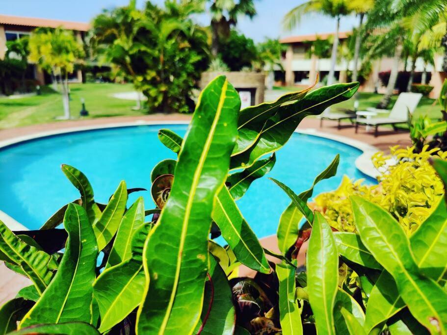 Aruba Family Oasis 2Br Pool 3Min Walk To Eagle Beach Palm Beach Exterior foto