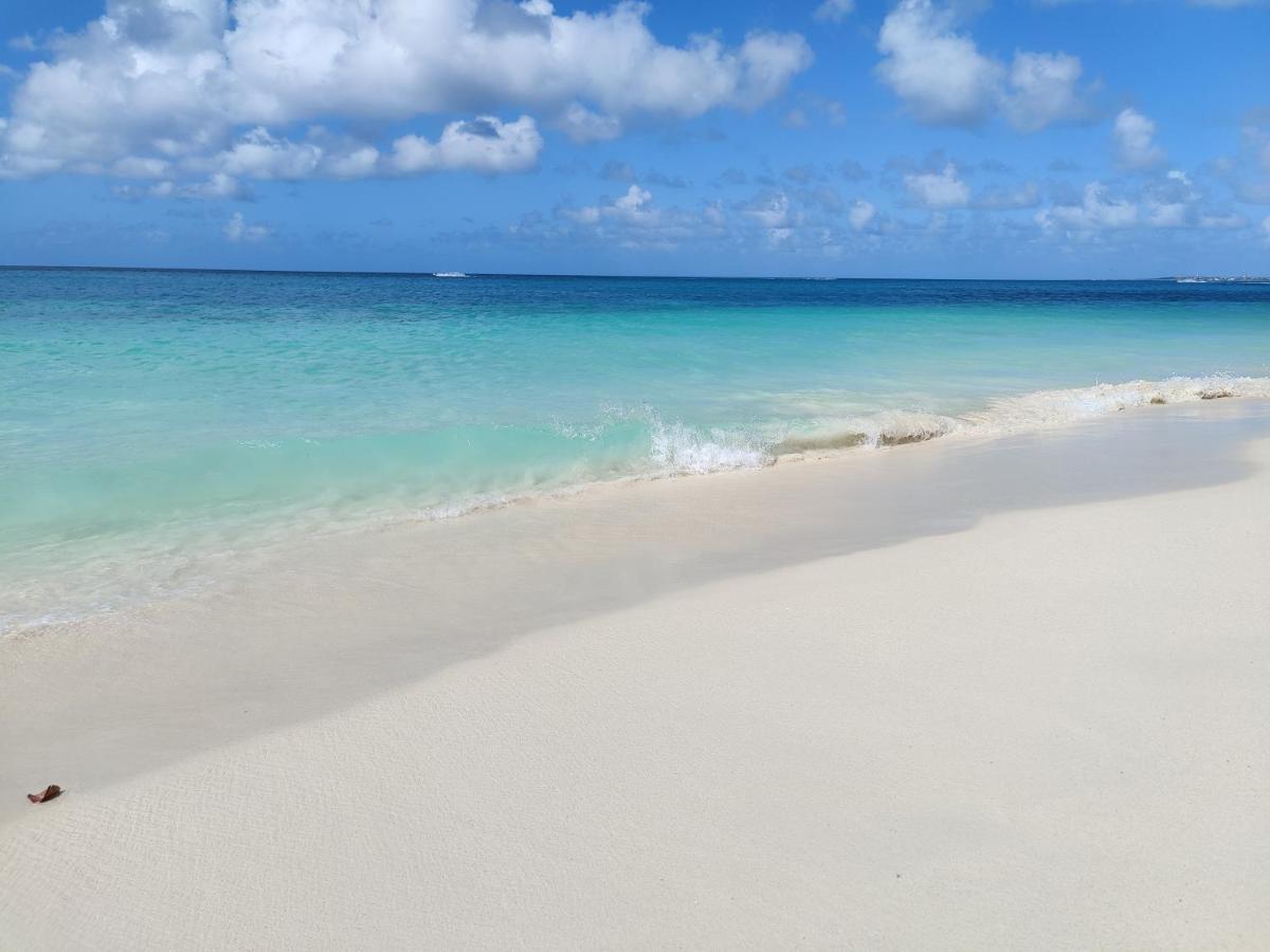 Aruba Family Oasis 2Br Pool 3Min Walk To Eagle Beach Palm Beach Exterior foto