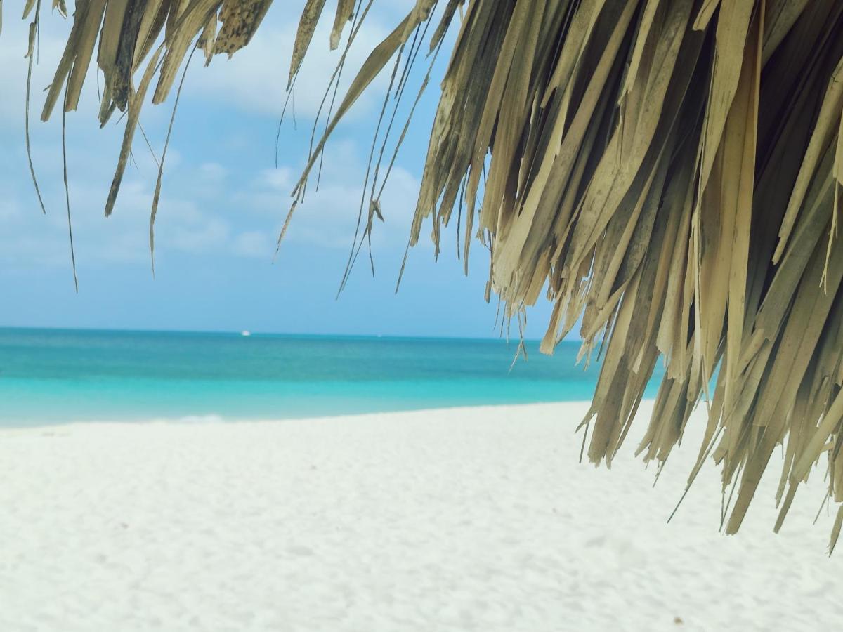 Aruba Family Oasis 2Br Pool 3Min Walk To Eagle Beach Palm Beach Exterior foto